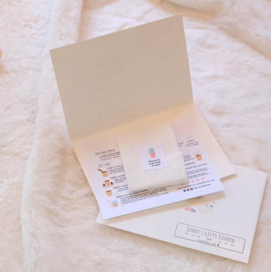 Echeveria Seed Mix, 25 Seeds, Echeveria Collection, Succulent Seeds